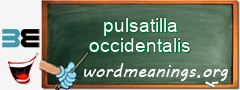 WordMeaning blackboard for pulsatilla occidentalis